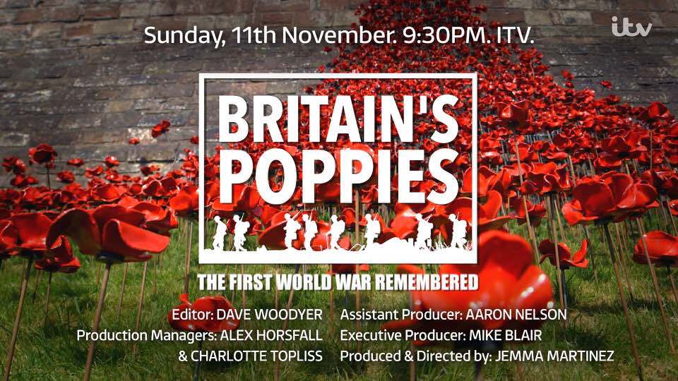 Britain's Poppies: The First World War Remembered
